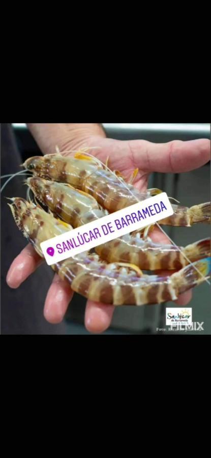 Piso De Dos Dormitorios En El Centro De Sanlúcar de Barrameda Eksteriør bilde